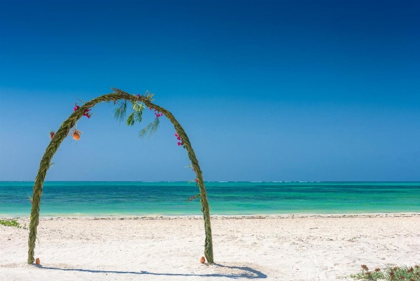 Hakuna Majiwe Beach Lodge Zanzibar image 7