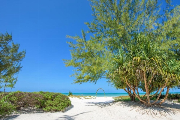 Hakuna Majiwe Beach Lodge Zanzibar image 8